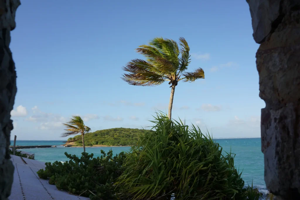 Palm trees swaying over turquoise waters on a peaceful stop during sxm boat tours