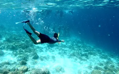 Snorkeler swimming above a coral reef in clear tropical water with others visible in the background. There are always things to do in St Martin / St Maarten