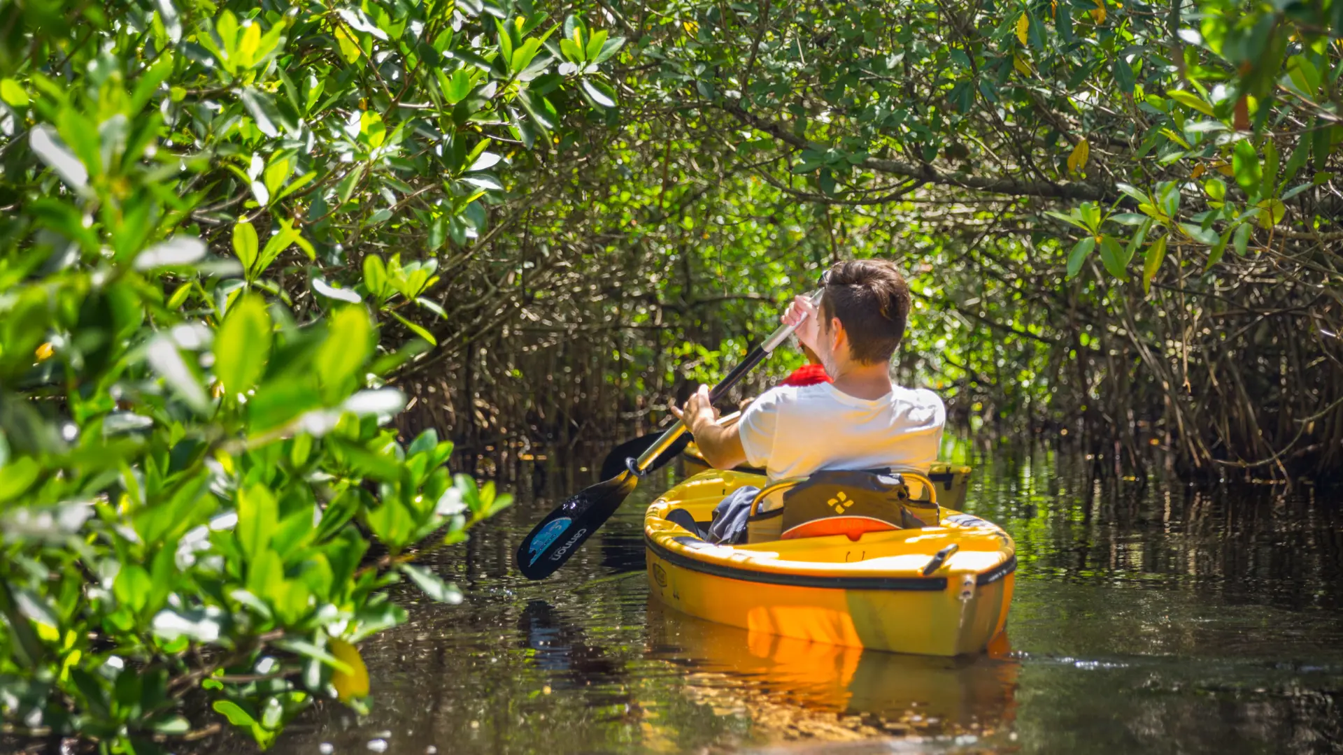 Man kayaking through lush mangrove forest in Simpson Bay Lagoon, St Martin