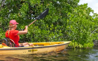 Woman paddling a yellow kayak through mangroves in Simpson Bay Lagoon, St Maarten. Nature things to do in St Martin / St Maarten