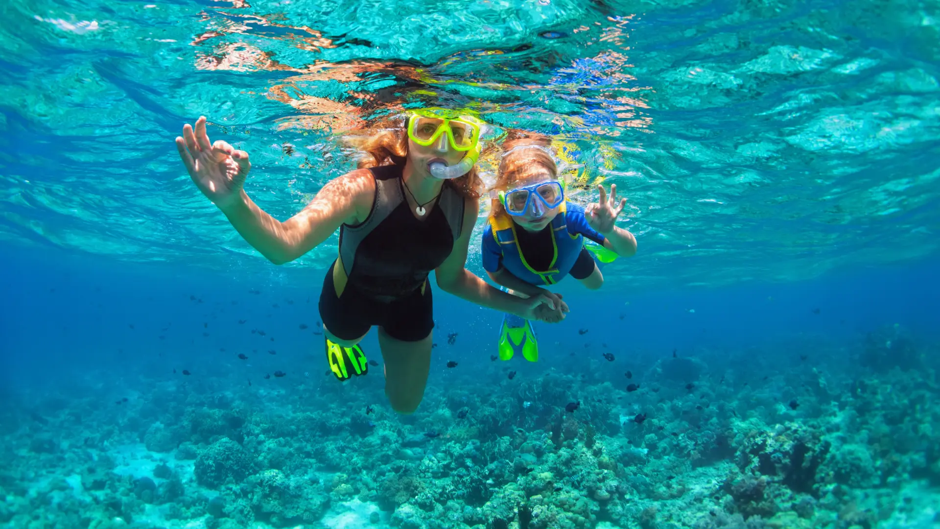 Snorkeling at creole rock. discover more things to do in st martin.