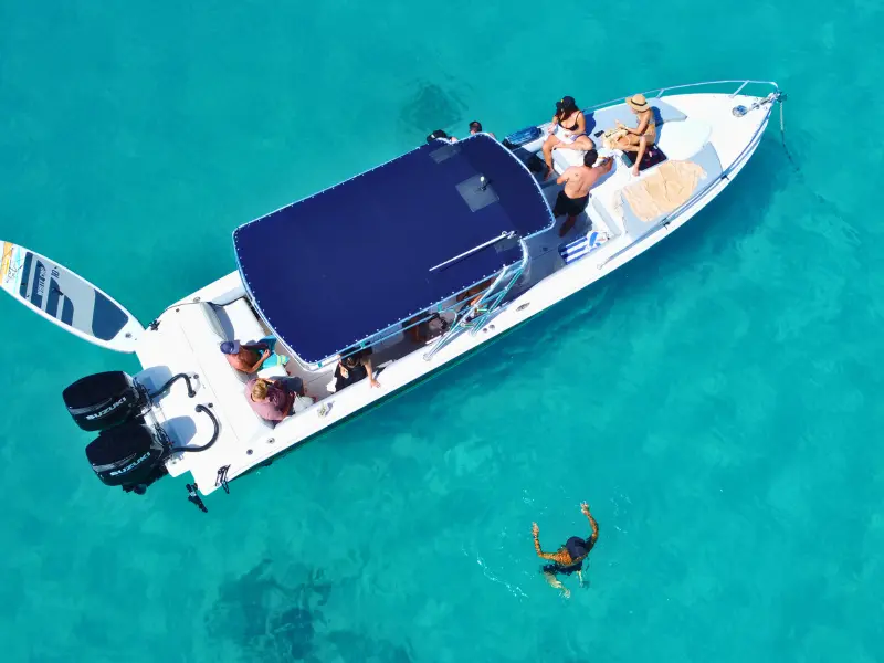Boat tour guests swimming with turtles in tropical Caribbean waters