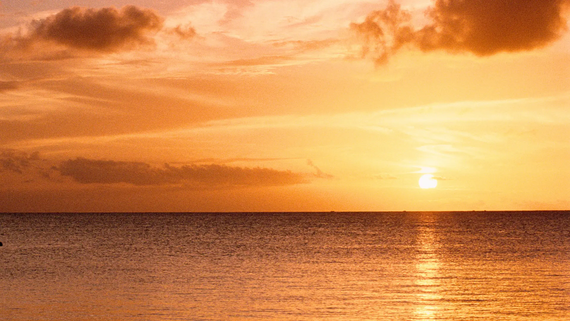 Golden Caribbean sunset over calm sea near St Martin