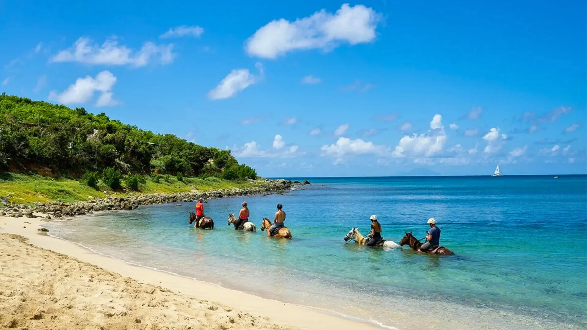 Group of riders on horses walking in the shallow Caribbean Sea on a sunny day in St Maarten