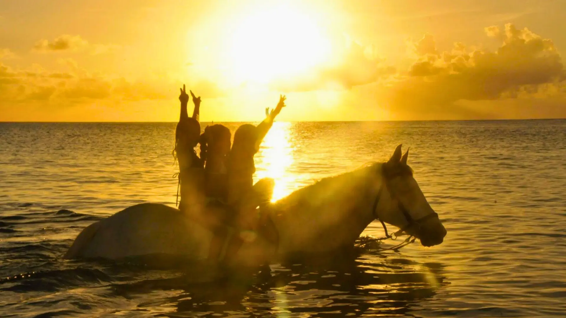 Riders on horseback in the sea at golden sunset in St Maarten