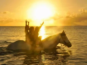 Silhouetted riders on horseback enjoying a sunset ride in the sea with golden reflections in St Maarten
