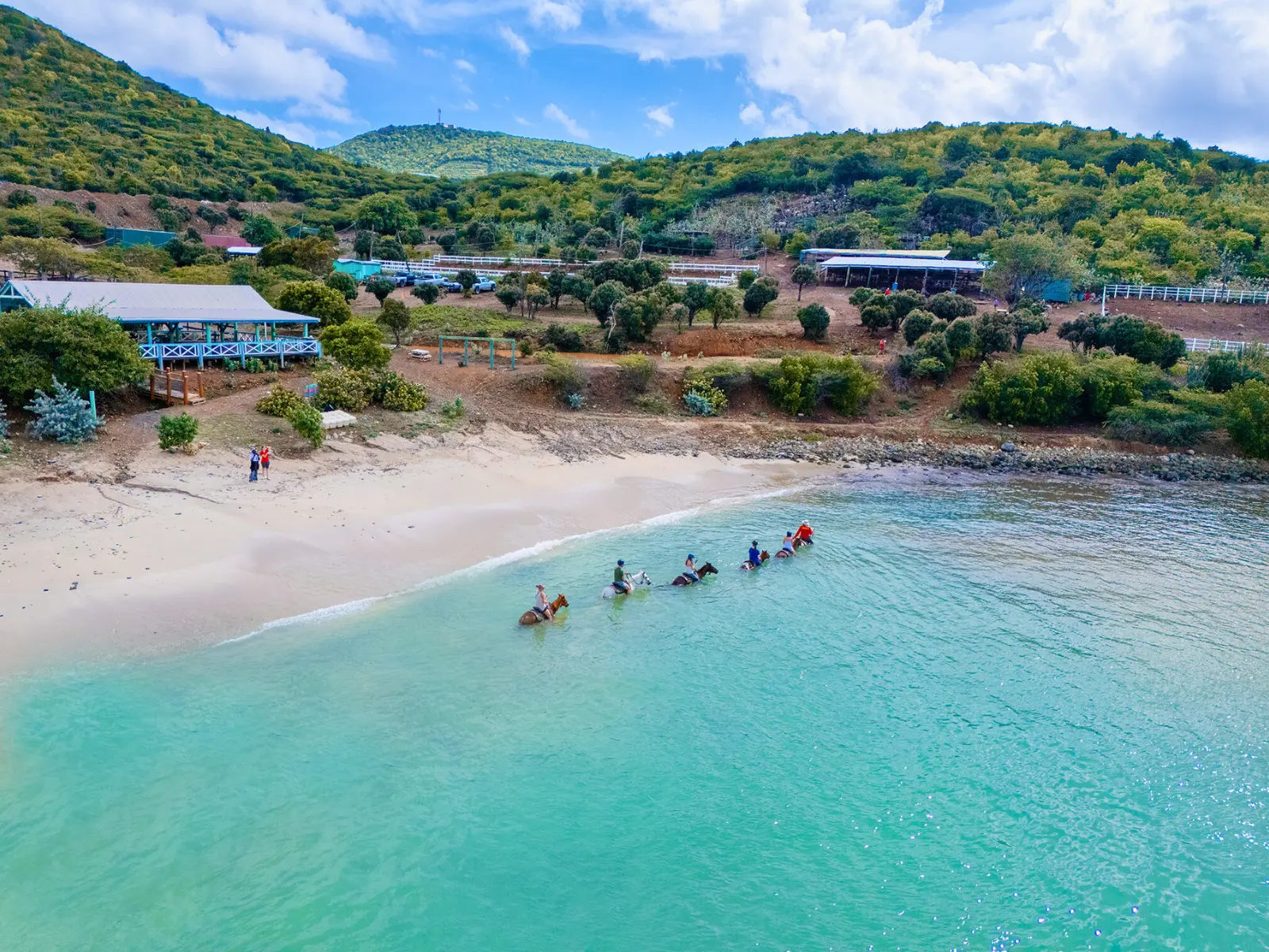 Aerial view of a guided horseback riding group entering the water along a quiet beach in St Maarten