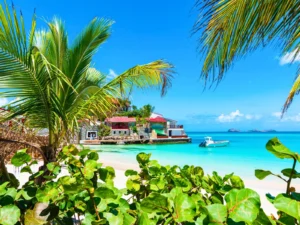 Tropical beach in St Barts with palm trees and clear turquoise water near St Jean