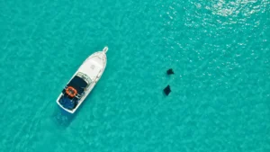 Premium powerboat boat moored in turquoise water near 2 rays in St Maarten